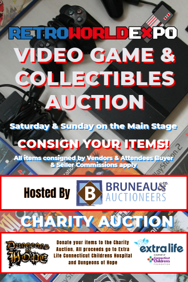 4X6 RWX Video Game Collectibles Auction copy